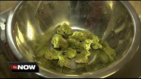 Milwaukee County Board of Supervisors approves November marijuana referendum