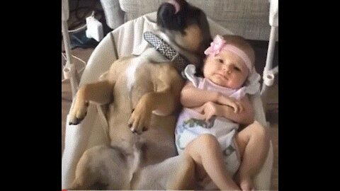 Cute dog - The dog's reaction to the baby for the first time is super fun 🥰😍😂