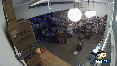 Thieves Bust Into Shop to Steal Flea Medicine