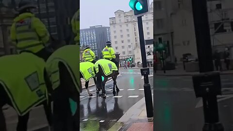 Police Horses in Leeds #yorkshirelife #uk#travel #🐎 Horses Police