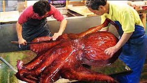 Incredible Giant Octopus Fishing - How Japan Chef Cutting Giant Octopus And Octopus Processing