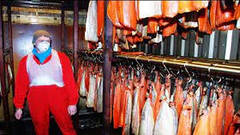 Aquaculture of salmon - Farming and harvesting of salmon - Smoked Salmon Processing