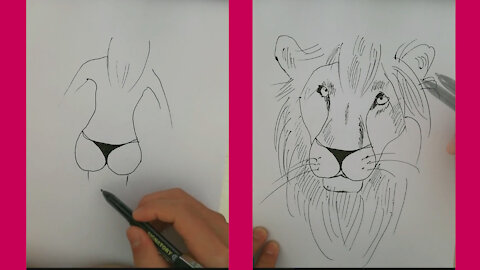 Lion Drawing - How to Draw Funny Lion | Drawing Hands