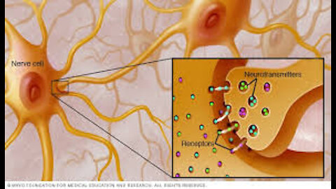 Which receptors are affected in myasthenia gravis ?