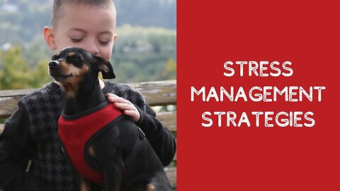 Stress Management Strategies