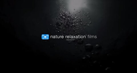 11 HOURS Stunning 4K Underwater footage + Music _ Nature Relaxation