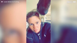 Horse does a fine job fixing lady's hair