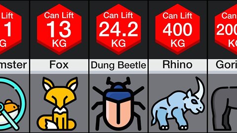 Comparison: How Much Can Animals Bench?