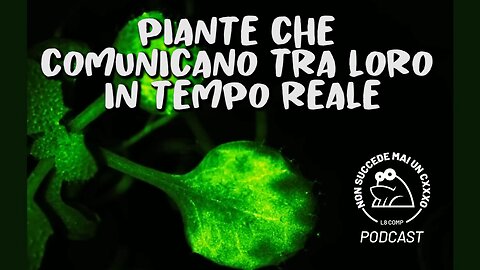 Video Stupefacente Di Piante Che Comunicano Tra Loro In Tempo Reale