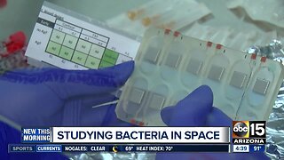 Studying bacteria in space