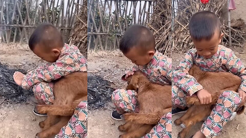 A little boy heat up a goat child 🥰🥰