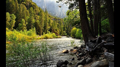 The mysterious forest of Guy-Kodzor, nature, mountain forest, Anapa