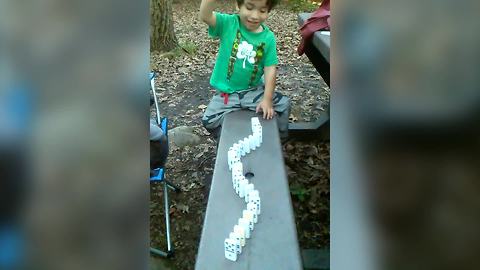 Toddler Boy Learns All About Domino Effect