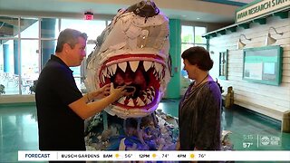 Aquarium art aims to 'save the sea'