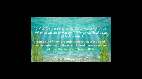 Part # 28 - Surah Al-Baqarah (The Cow) | Translation Verse 74 | HD #shorts