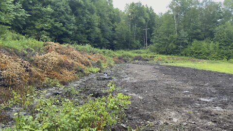 Working on the food plot