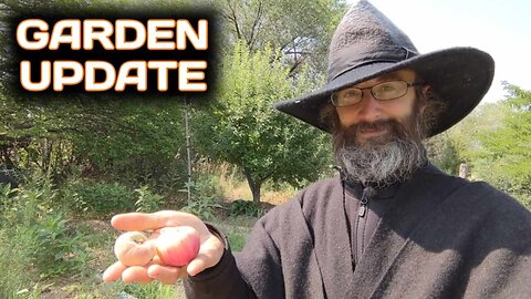 Garden Update - July 25th 2024