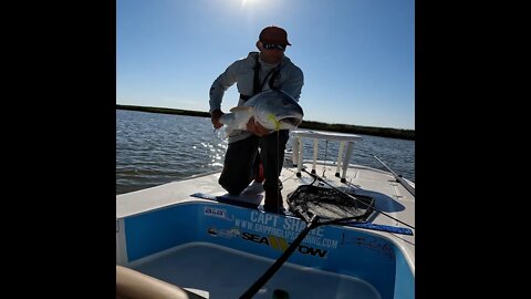 Epic Underwater Footage of a Bull Redfish Hitting a Lure! #shorts