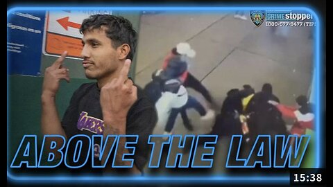 ABOVE THE LAW: Illegal Aliens Walk Free After Attacking NYPD Officers