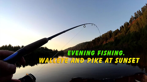 Evening fishing. Walleye and pike at sunset (with subtitles)