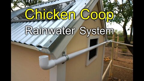 Chicken Coop Rainwater Harvesting System - How to