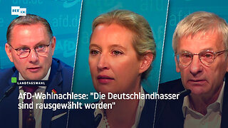 AfD-Wahlnachlese: "Die Deutschlandhasser sind rausgewählt worden"