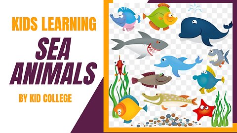 Name of Sea Animals - Learning for kids