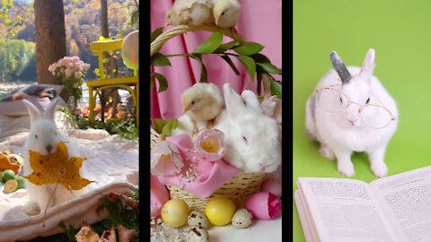 Cute Bunny With Eyeglasses and reading a book