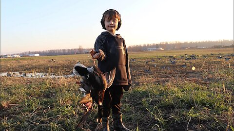 Duck Hunting a Flooded Barley Field With Our Little Brothers