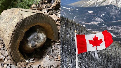 It's Groundhog Day & So Far There's Good News For Canadians Who Hate Winter