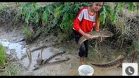 Beautiful Girl Fishing - Amazig Fishing at Battambang - Cambodia Traditional Fishing(part1)