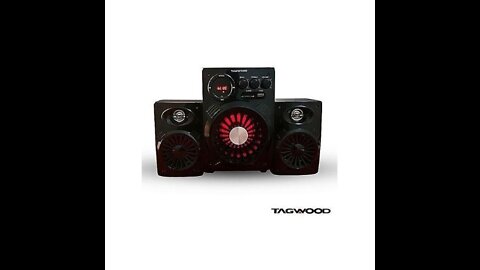 SHOULD YOU BUY THIS? TAGWOOD Multimedia Speaker System With Bluetooth