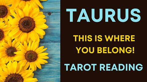 TAURUS ~ THIS IS WHERE YOU BELONG ~ #TAROT #READING