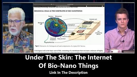 Under The Skin: The Internet Of Bio-Nano Things