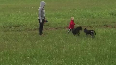 Boy Running in Field Gets Run Over By Dogs