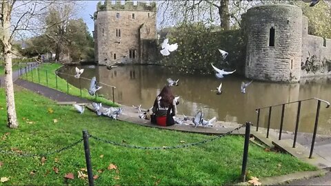 Wells Moat and Wells Market November 2022