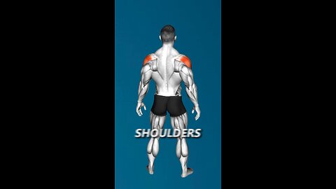 Shoulder workout exercises