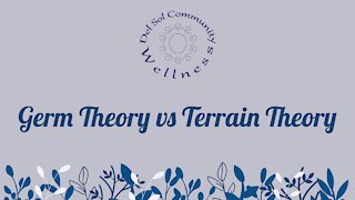 Germ Theory vs Terrain Theory