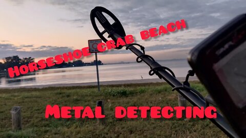 Beach Hunt | New Scoop | Metal Detecting| Treasure Hunting | Gold & Silver | Hardcore | Pro | Fl