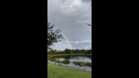 Rainbow in Paradise 4K