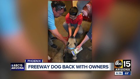 Dog that led DPS on two-hour chase reunited