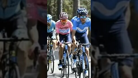 Desventuras de Primoz Roglic con el Giro de Italia.