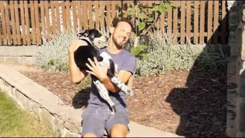 COVID-19: Man reunites with dog after 3 months apart