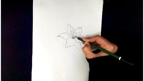 How To Draw Flowers Easy Step