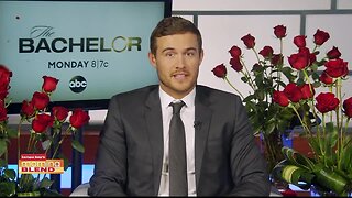 The Bachelor | Morning Blend