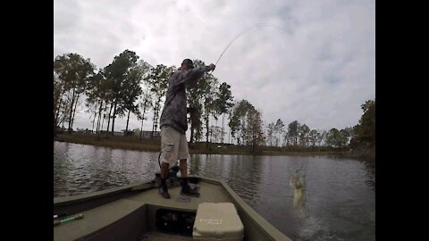 Toledo Bend Fishing