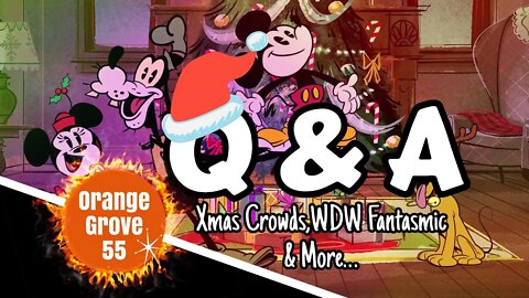 Q & A: Xmas Crowds With NO Magic Keys, WDW Fantasmic & MORE!!