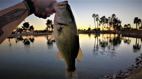 Marvelous Bass Fishing - Stunning Urban Pond - Part 2