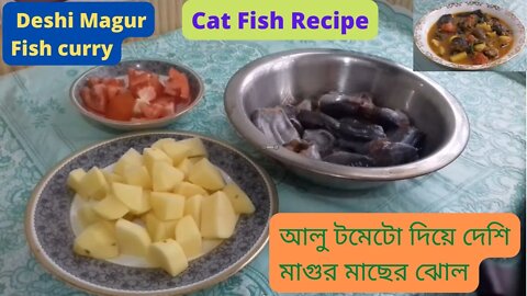 দেশি মাগুর মাছের ঝোল II Deshi Magur Curry II দেশি মাগুর মাছের ভুনা রেসিপি II