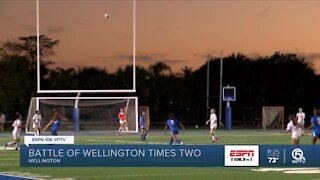 Battle of Wellington times 2